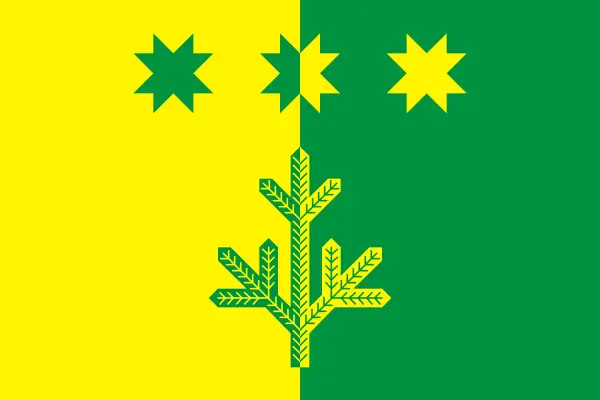 Флаг: Шемуршинский муниципальный округ